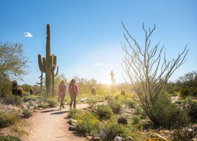 Hiking Training Tips and Preparation