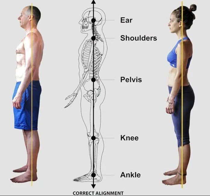 Center of Gravity: Impact on Movement and Stability